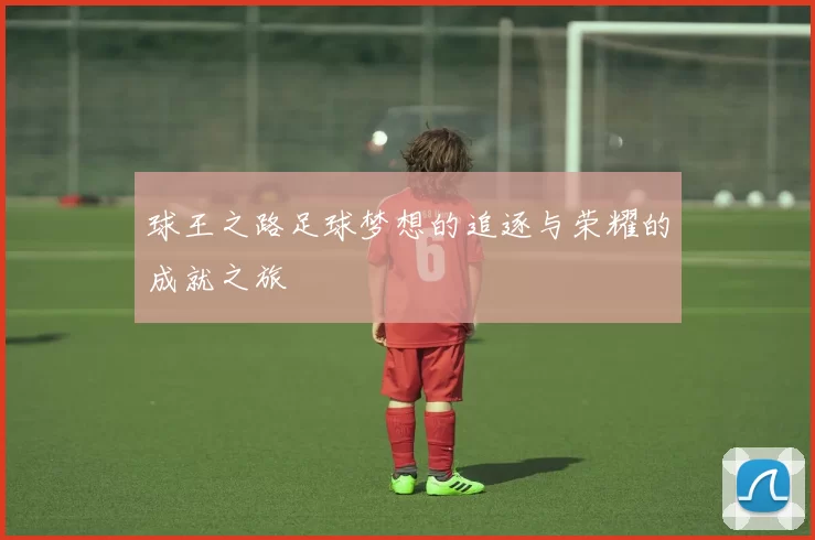 球王之路足球梦想的追逐与荣耀的成就之旅