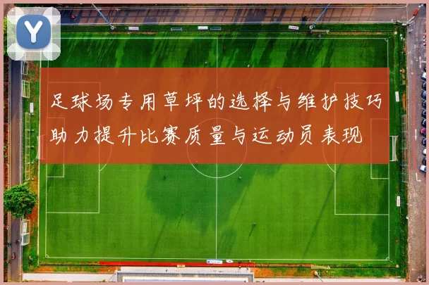 足球场专用草坪的选择与维护技巧助力提升比赛质量与运动员表现