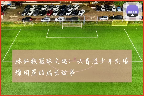 林弘毅篮球之路：从青涩少年到璀璨明星的成长故事