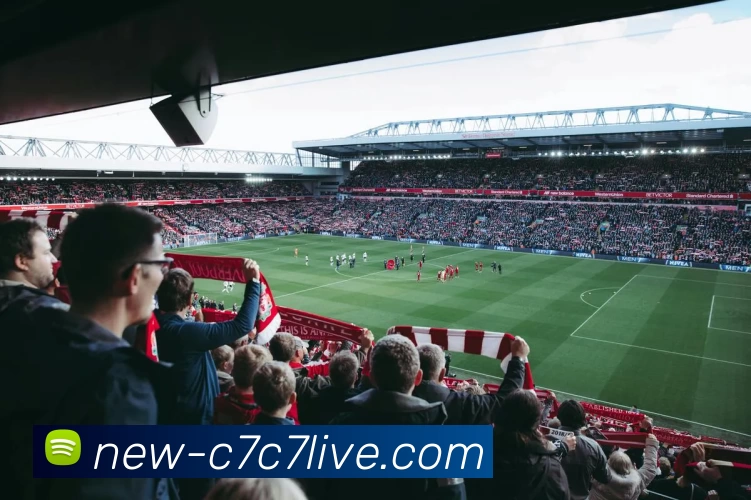 App Interface Preview