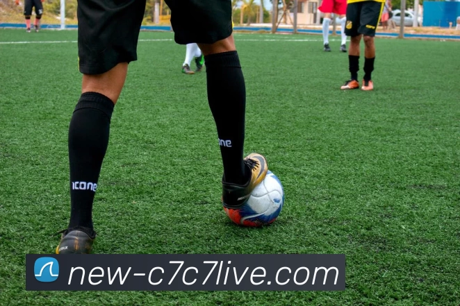 c7全站APP 封面图